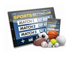 Betwinner Your Ultimate Guide to Sports Betting and Online Gambling -1681186435